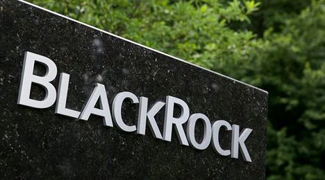 BlackRock investments