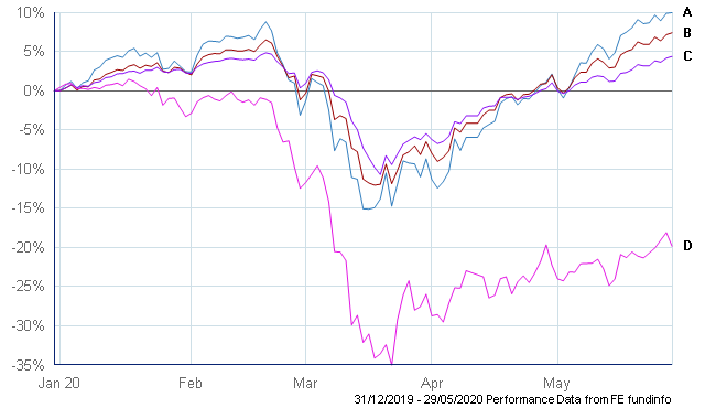 Sustainable Portfolio Performance 2020 YTD