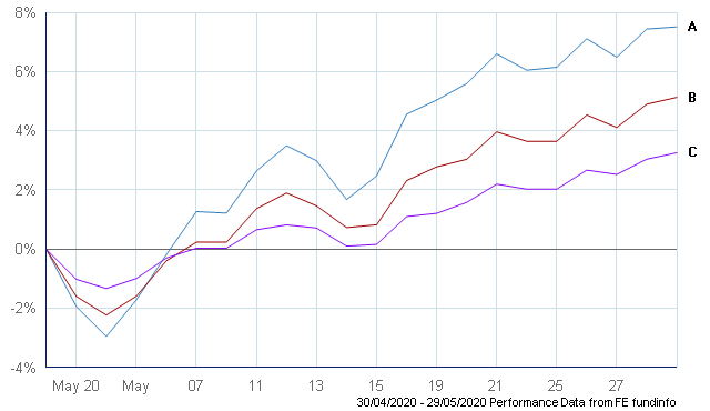 Sustainable Portfolio Performance May 2020